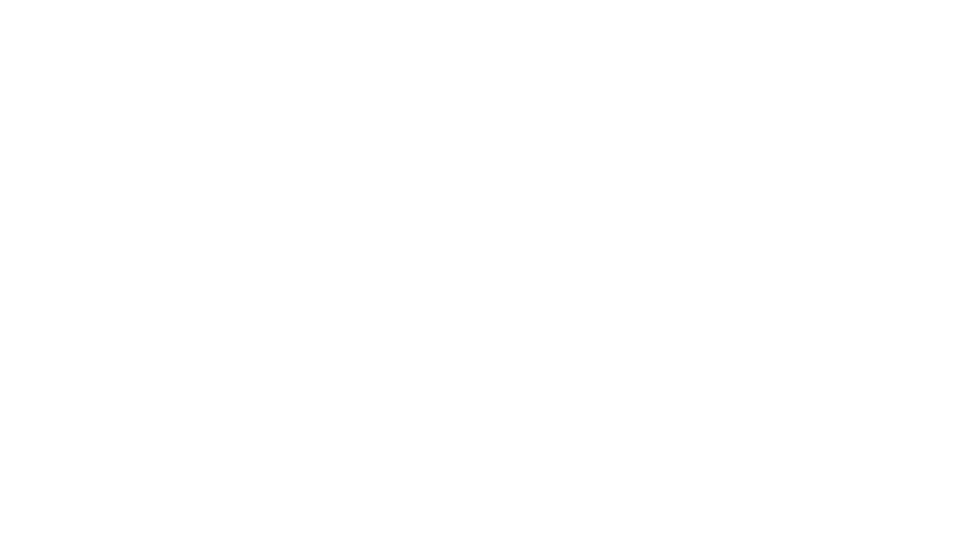 light logo